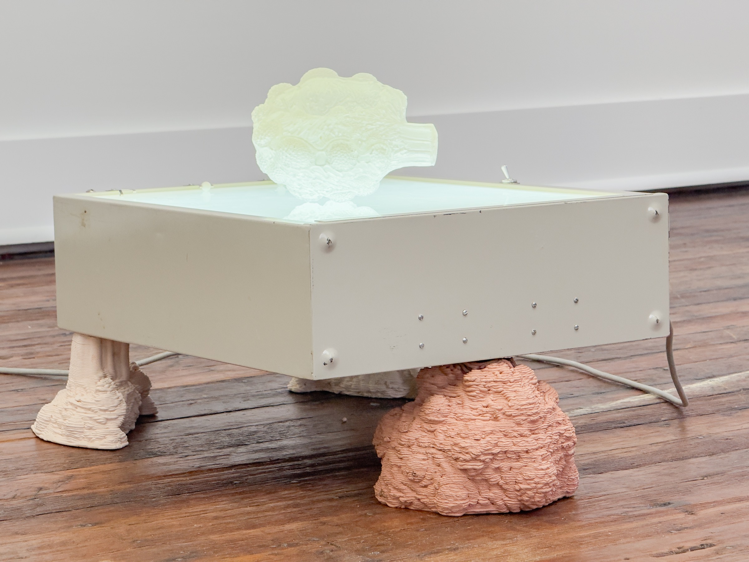 Notas sobre formas no identificadas