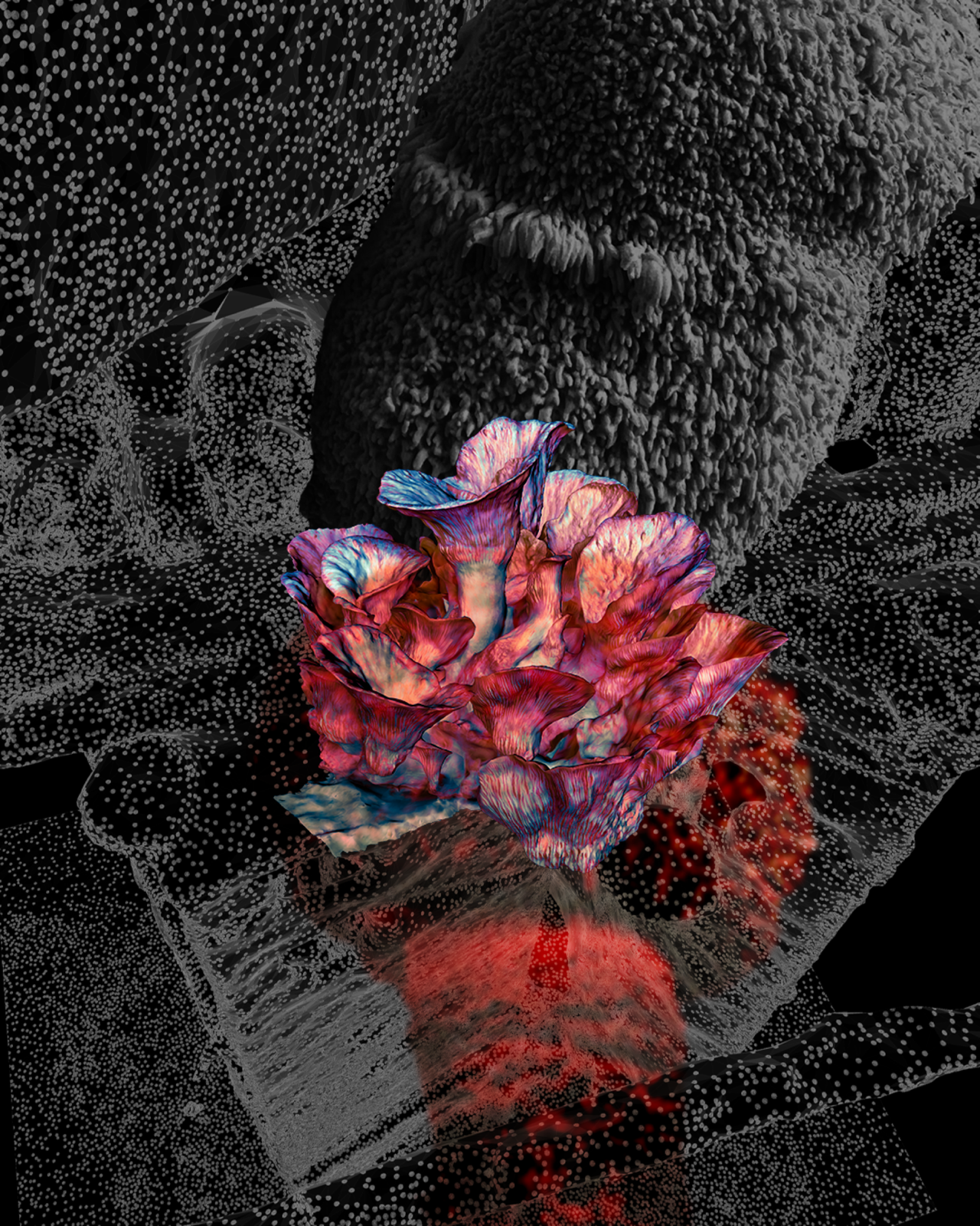 Sobre virtualidades e hibridos