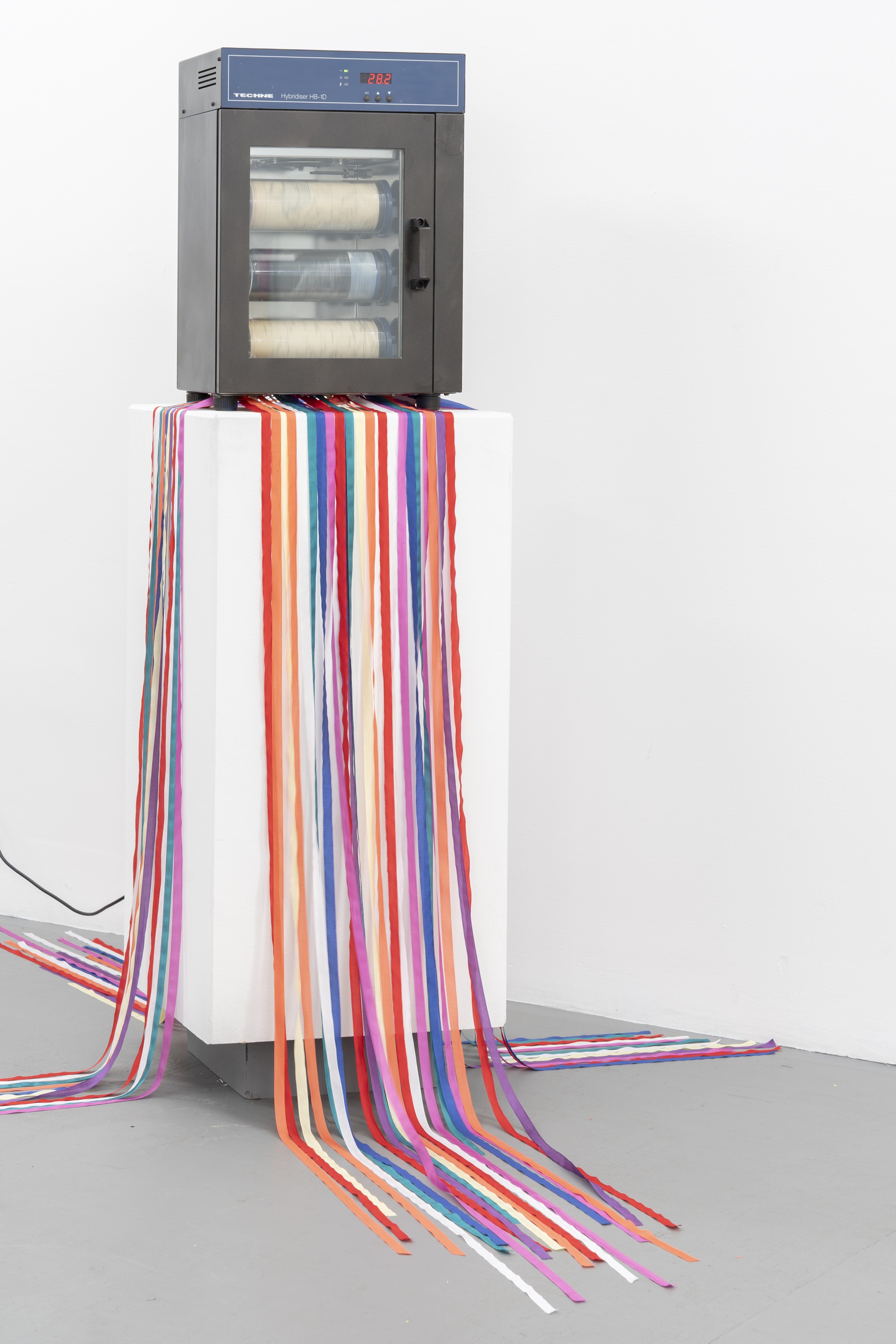 Un terreno sin nombre